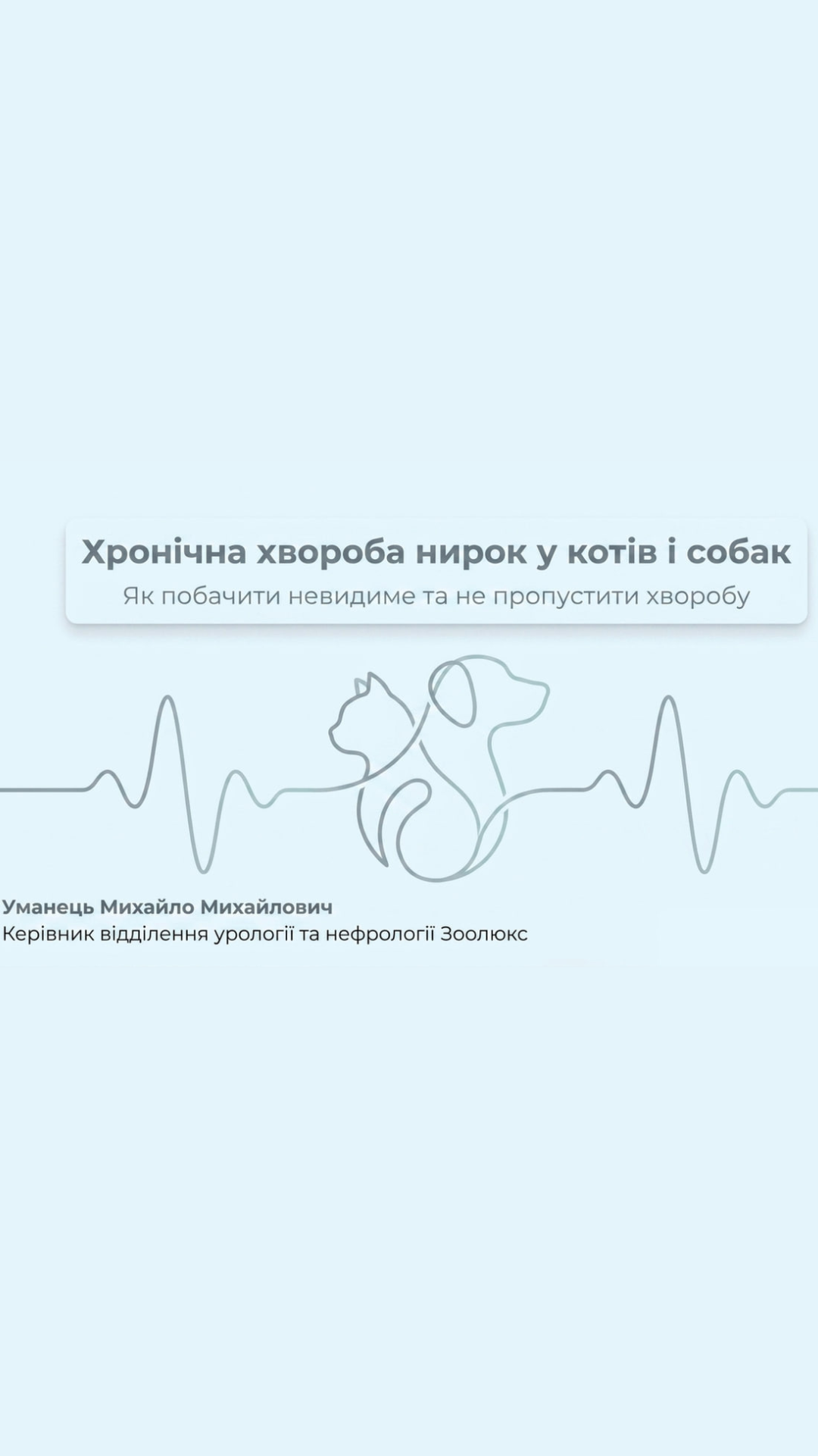 Хронічна хвороба нирок, як не пропустити хворобу вдома: гайд для власників тварин