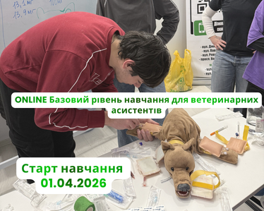 ONLINE Базовий рівень навчання для ветеринарних асистентів