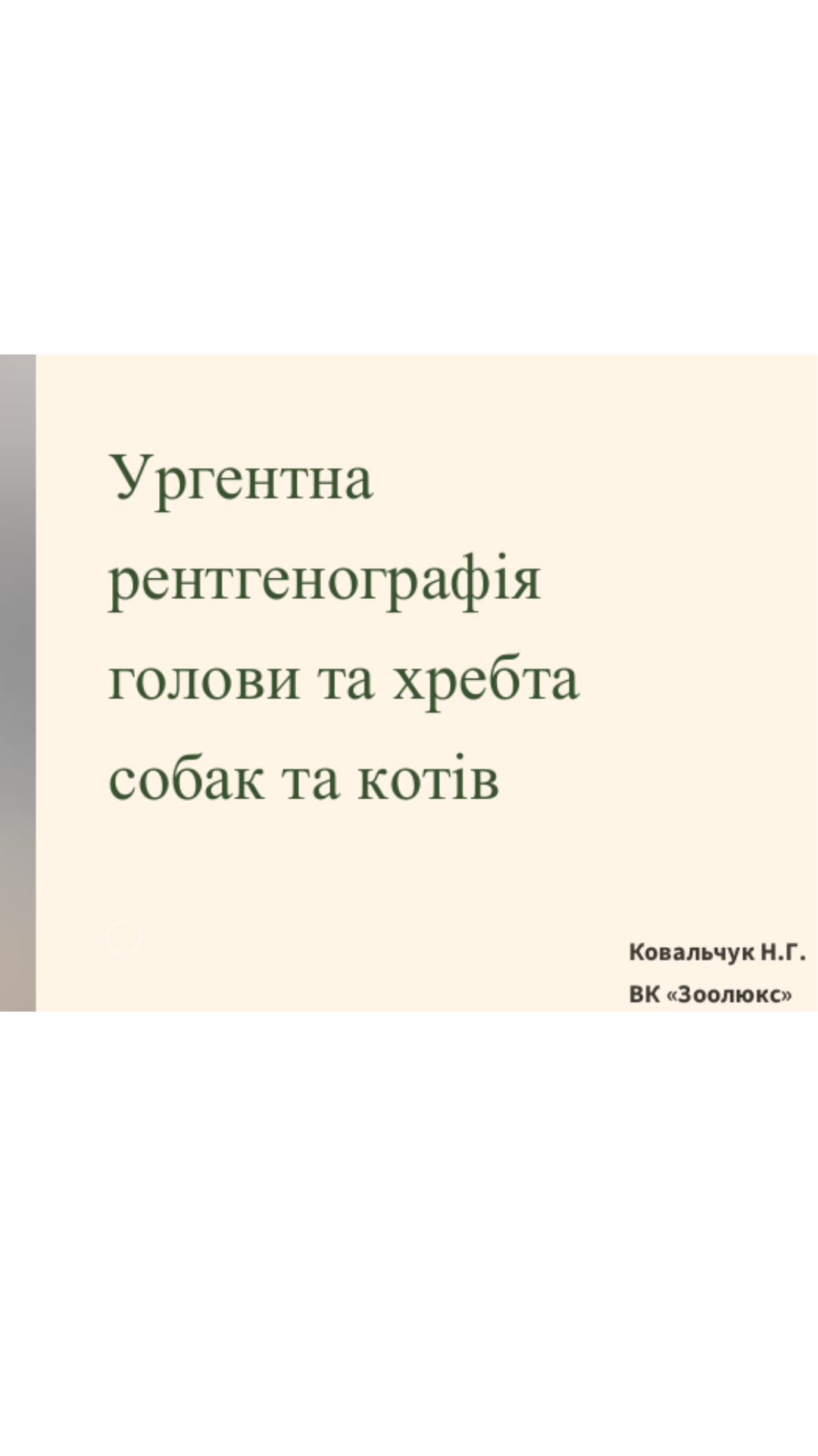 В запису | Ургентна рентгенографія голови та хребта собак та котів