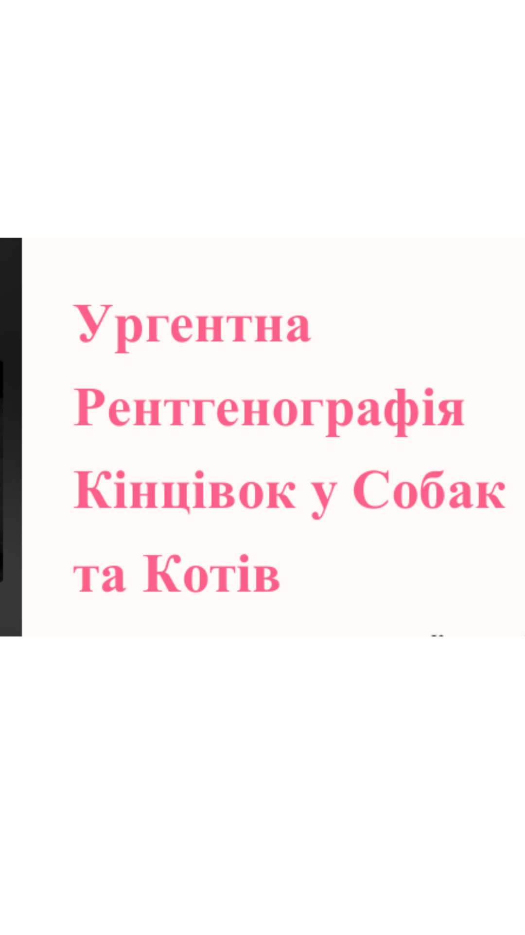 В запису | Ургентна рентгенографія кінцівок у собак та котів